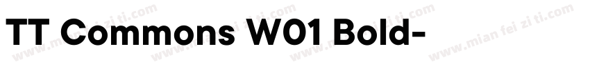 TT Commons W01 Bold字体转换